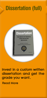 tab r1 c3 Dissertation Services