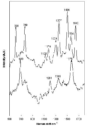 Figure 5. SERS spectrum of (top) 1 x 10-3 M carbamazepine and (foot) 1 x 10-3 M clomipramine aggregated with 1 M NaCl. Excitation at 532nm.