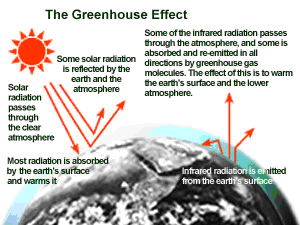 Source: US Environmental Protection Agency 2007 (8)