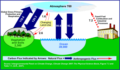 Figure 2: Global Carbon Cycle between various reservoirs (Billion Metric Tons Carbon) 