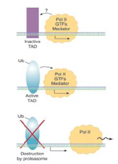 Figure 1.2