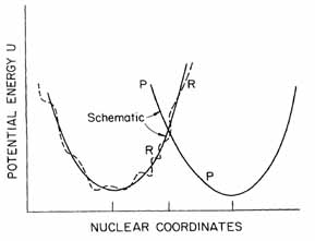 Figure 1.1 Potential surface of reactants and products R curve illustrates the reactants plus environment, P curve is the products and environment. Abscissa is a multidimensional space, includes thousands of coordinates.