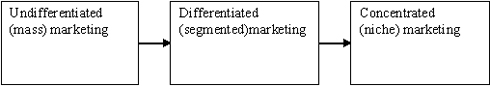 Figure 5. Target market strategies. Source: Kotler and Armstrong (2004), p. 252