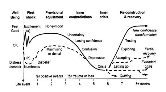 {The transition cycle - a template for human responses to change}