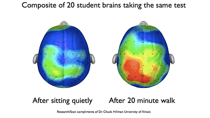 brain exercise