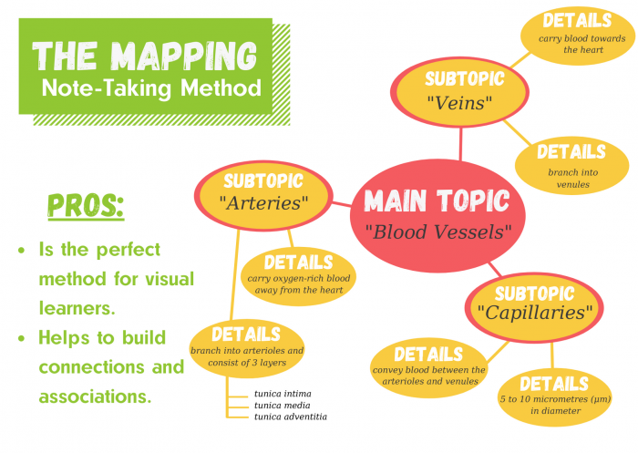 Concept Map Notes EroFound