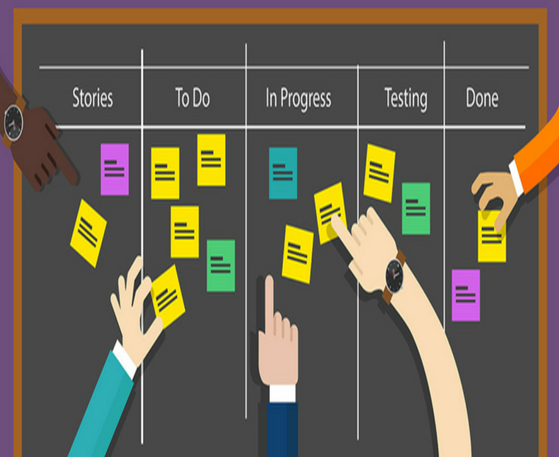 project management introduction essay